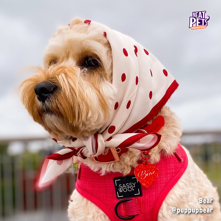 Iu shop dog bandana